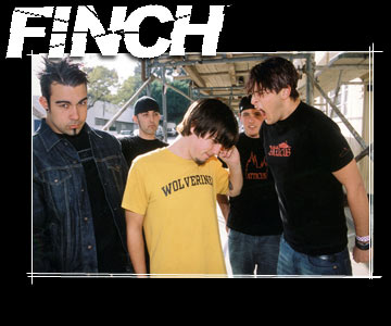 finch.jpg
