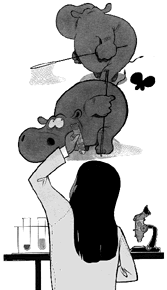 hippos.gif